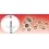 Oeillets pr bâches acier laiton Ø12mm+outil (25)